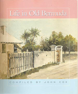 John-Cox-Life-Bermuda-portfolio